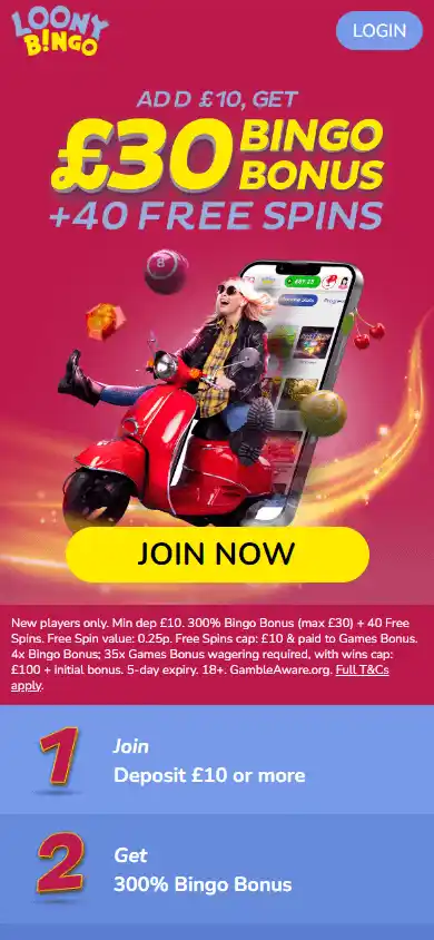 Loony Bingo Casino screenshot 2