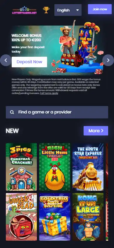 LotteryCasino.net screenshot 4