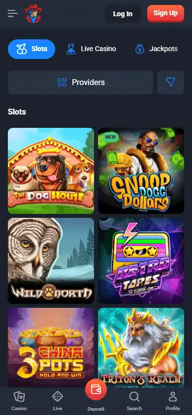 Lucky Hunter Casino screenshot 5