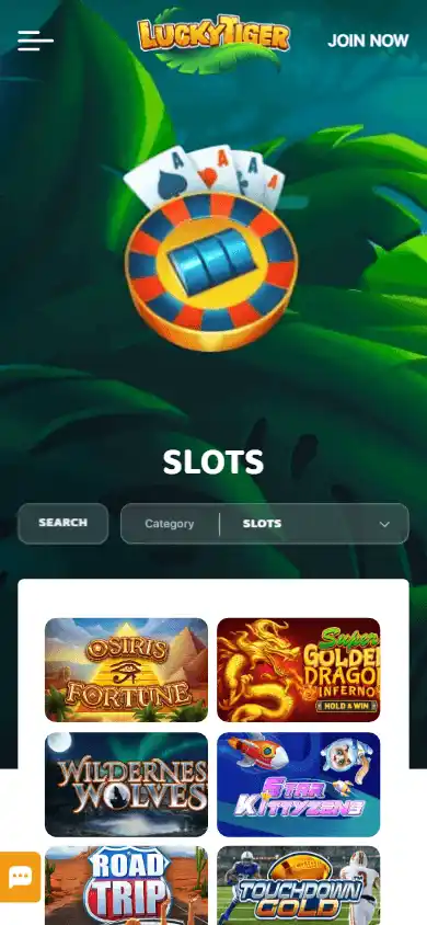 Lucky Tiger Casino screenshot 5