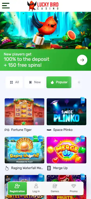 Lucky Bird Casino screenshot 4