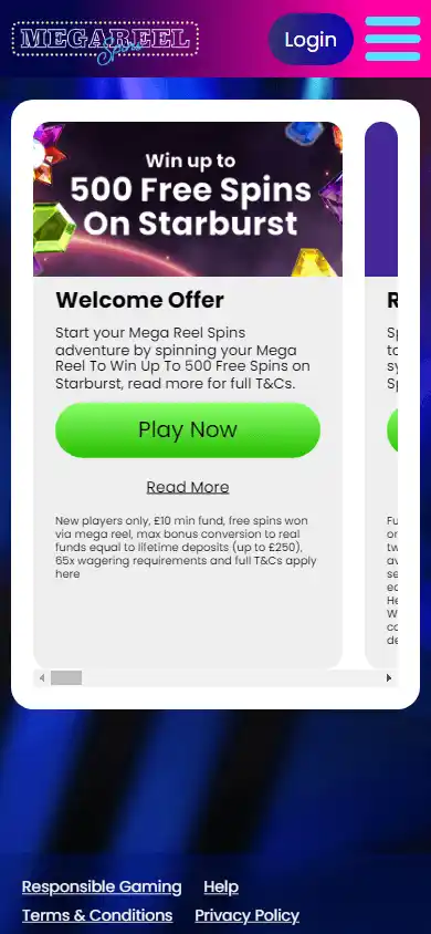 Mega Reel Spins Casino screenshot 6