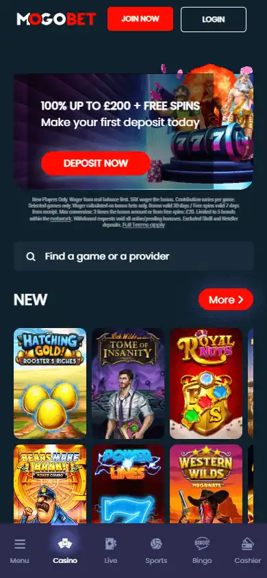Mogobet Casino screenshot 4