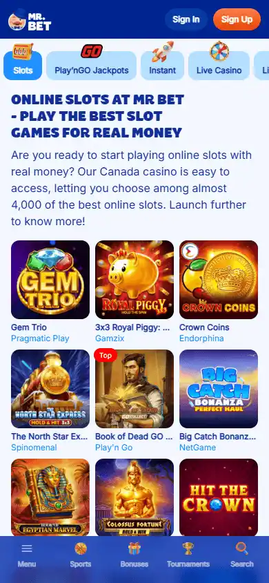 Mr Bet Casino screenshot 5