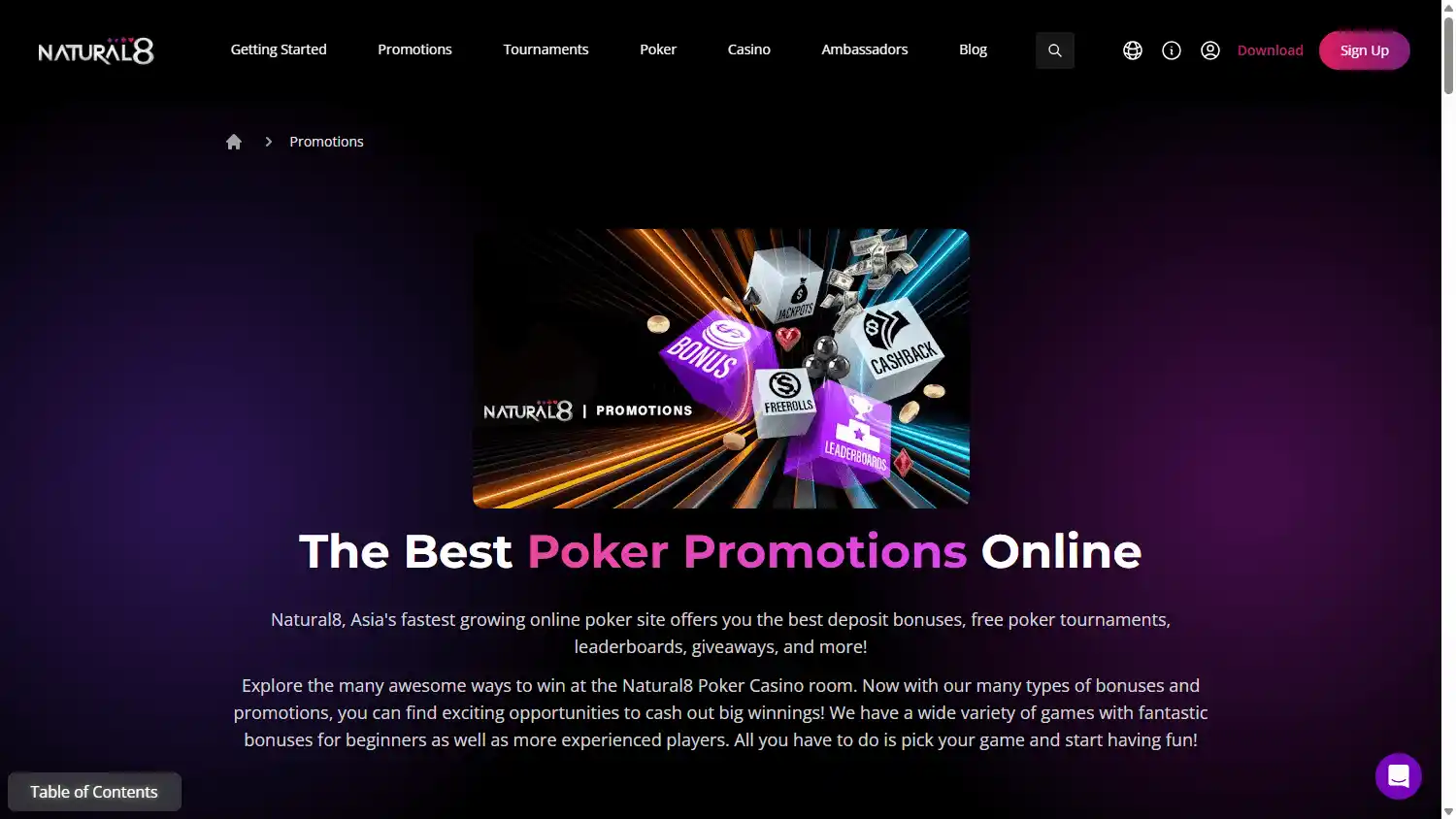 Natural8 Casino screenshot 3