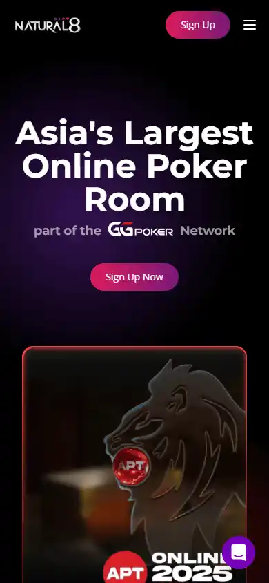 Natural8 Casino screenshot 4