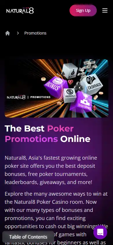 Natural8 Casino screenshot 6