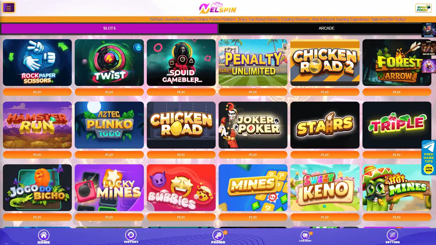 NelSpin Casino screenshot 2