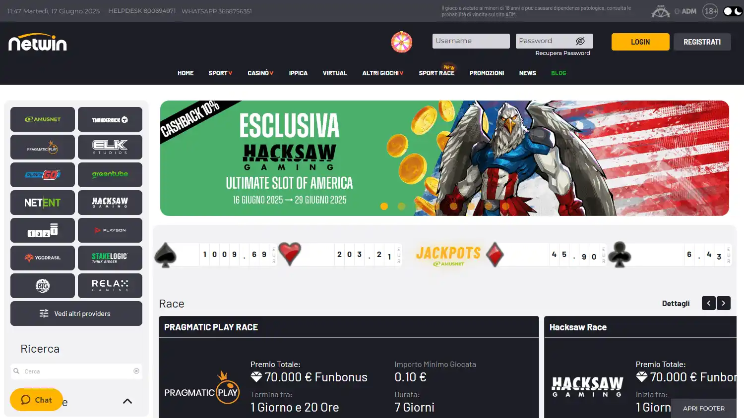 Netwin Casino screenshot 2