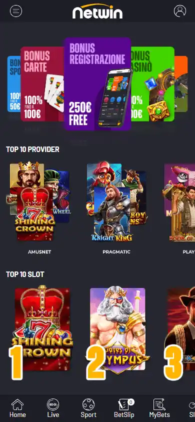 Netwin Casino screenshot 4