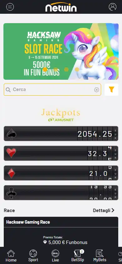 Netwin Casino screenshot 5