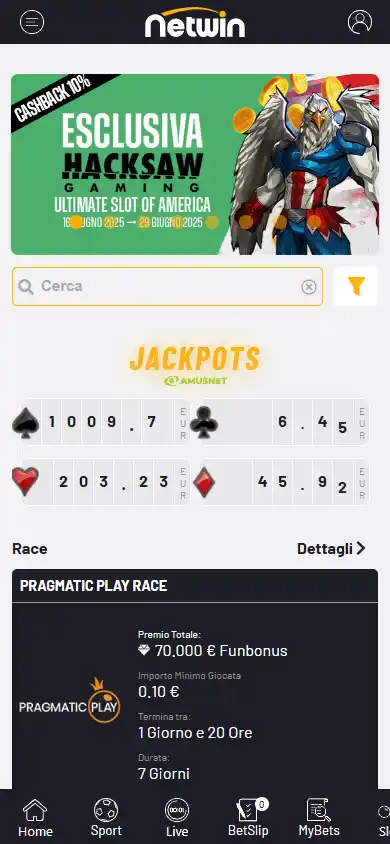 Netwin Casino screenshot 6
