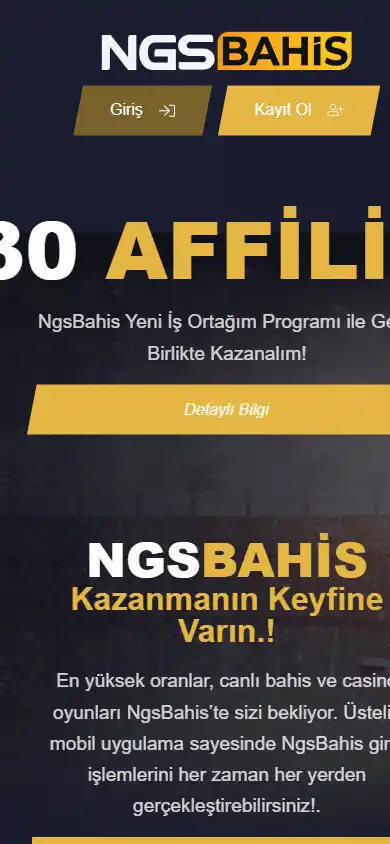 NGSBahis Casino screenshot 2