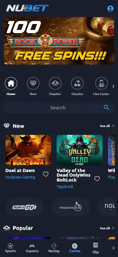 Nubet Casino screenshot 5