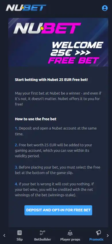 Nubet Casino screenshot 6