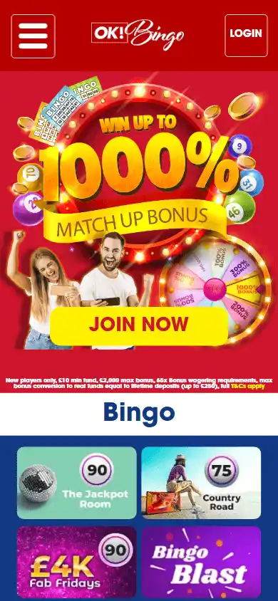 OK Bingo Casino screenshot 3