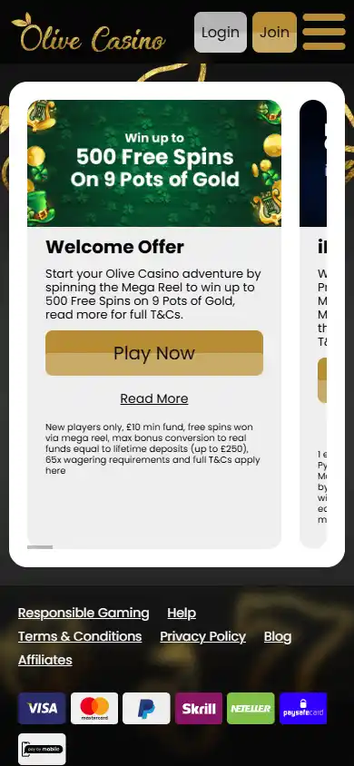Olive Casino screenshot 6