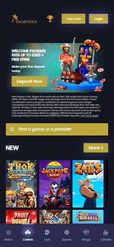 PalmsGold Casino screenshot 4