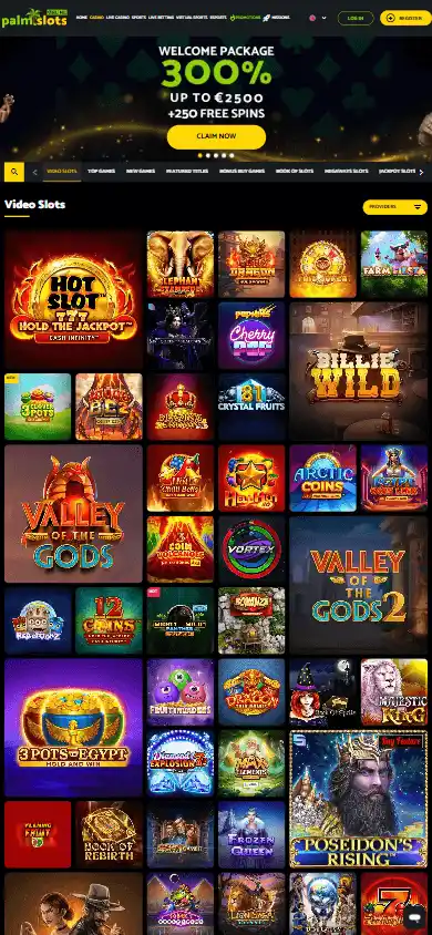 PalmSlots Online Casino screenshot 5