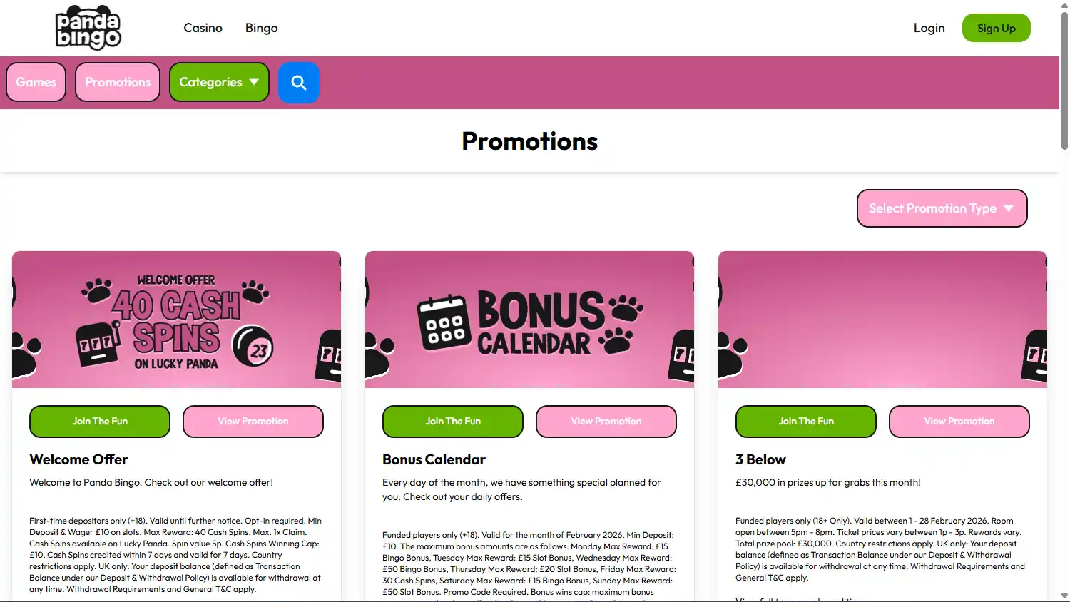 Panda Bingo Casino screenshot 3