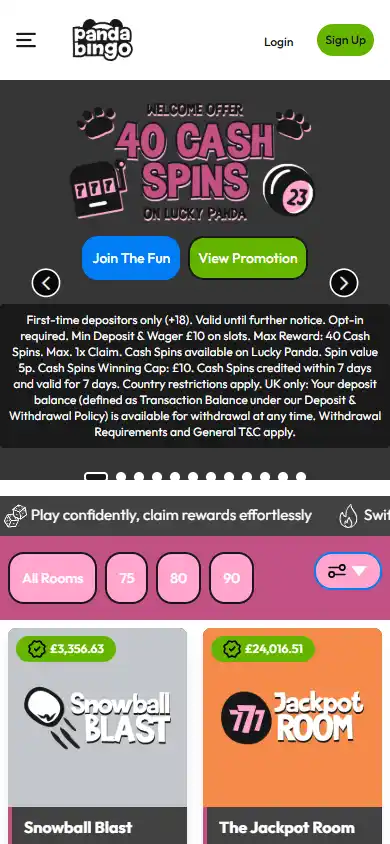 Panda Bingo Casino screenshot 4
