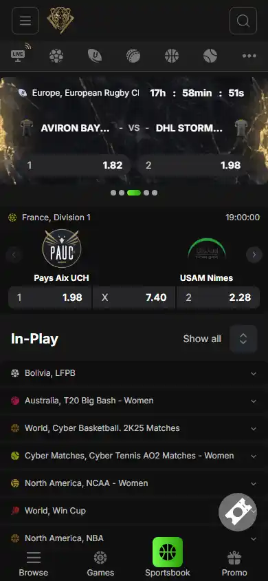 PantherBet Casino screenshot 3