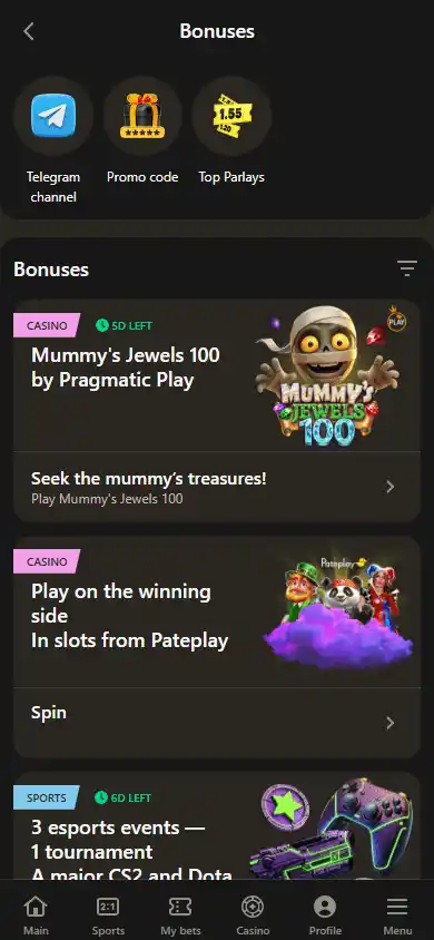 Parik24 Casino screenshot 6