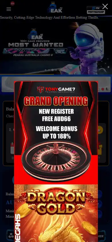 PeakAU Casino screenshot 3