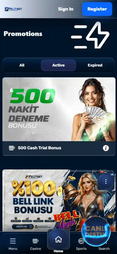 PelitBet Casino screenshot 6