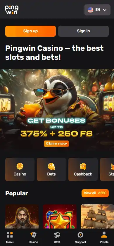 PingWin Casino screenshot 3