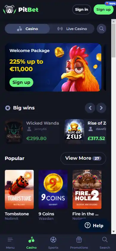 Pit Bet Casino screenshot 3