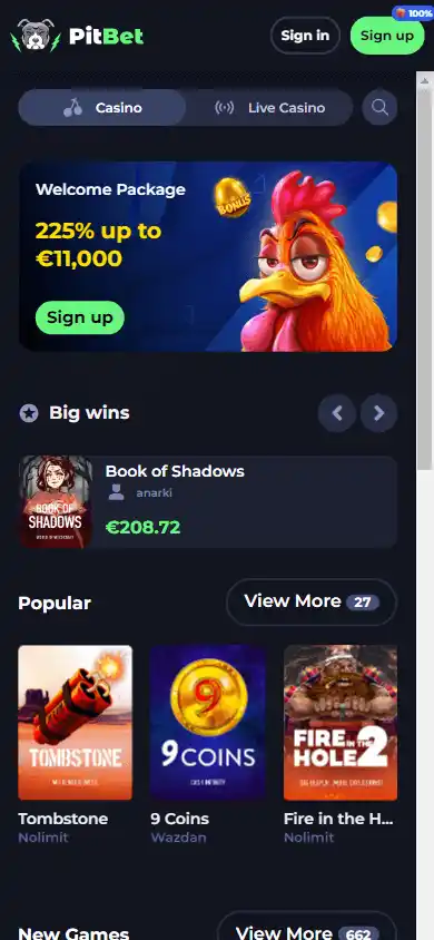 Pit Bet Casino screenshot 4