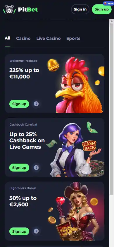 Pit Bet Casino screenshot 5