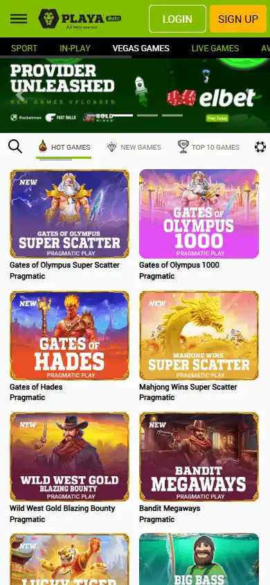 Playa Bets Casino screenshot 5