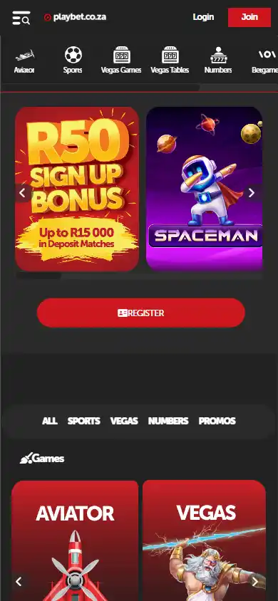 Playbet Casino screenshot 4