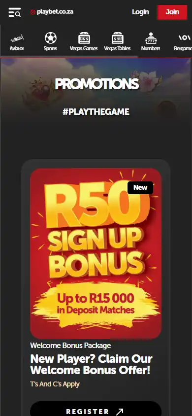 Playbet Casino screenshot 6