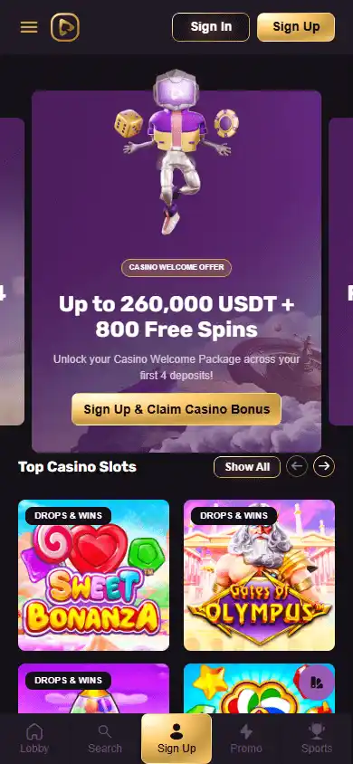 Playbet.io Casino screenshot 4