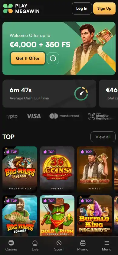 PlayMegaWin Casino screenshot 4