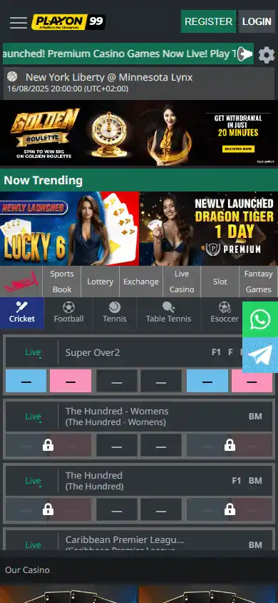Playon99 Casino screenshot 3