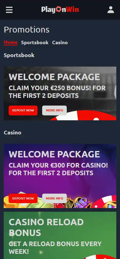 PlayOnWin Casino screenshot 6