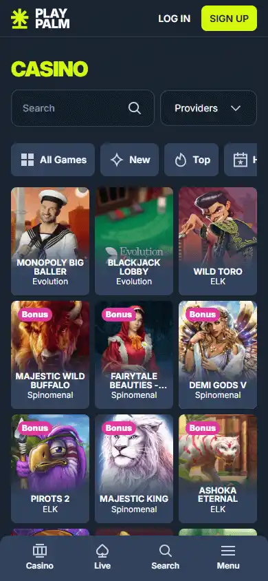 Playpalm Casino screenshot 5