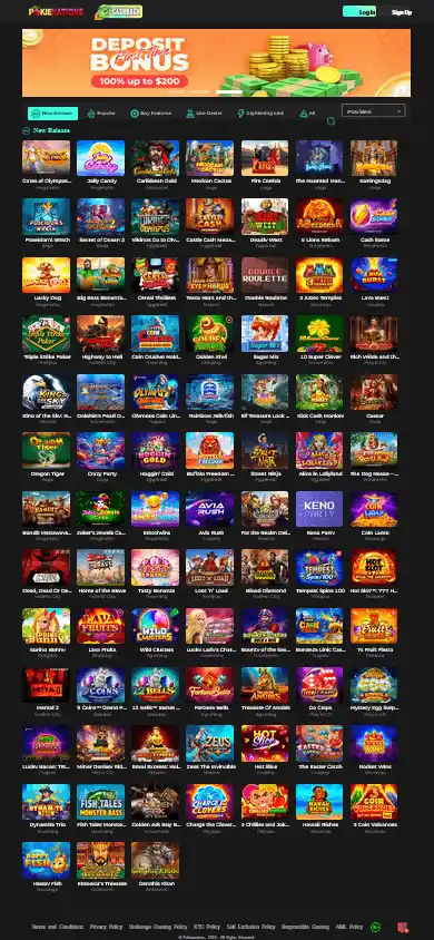 Pokienations Casino screenshot 3