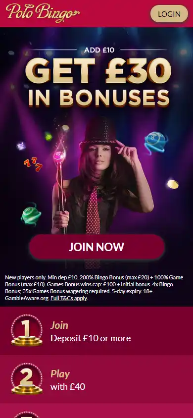 Polo Bingo Casino screenshot 2