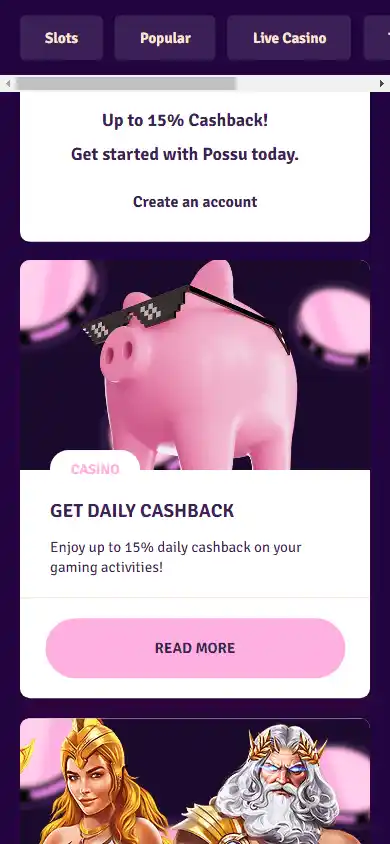 Possu Casino screenshot 6