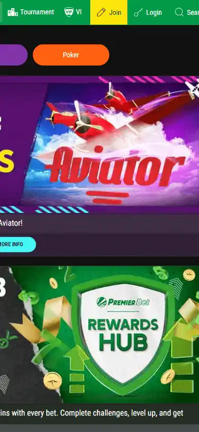 Premier Bet Casino screenshot 3