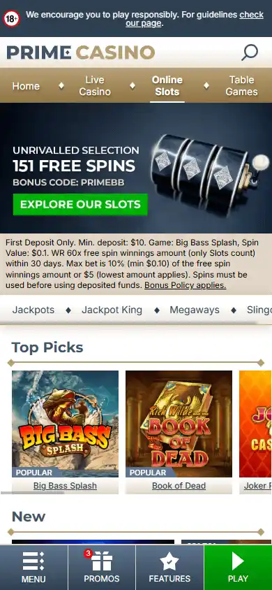 Prime Casino screenshot 6