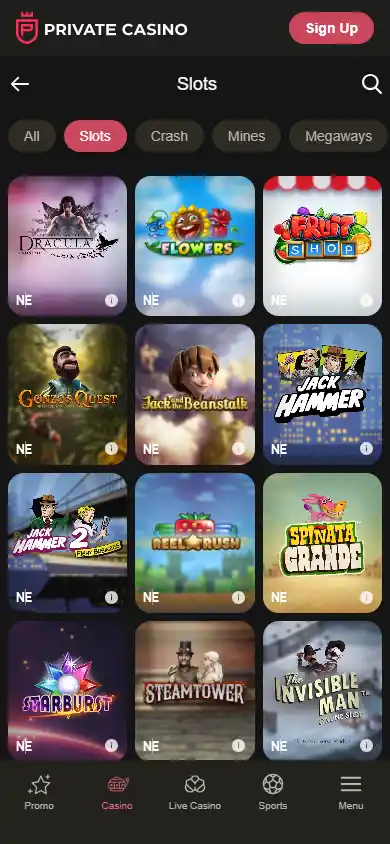 Private Casino screenshot 5