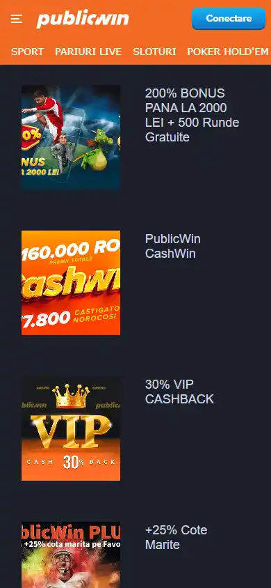 PublicWin Casino screenshot 6
