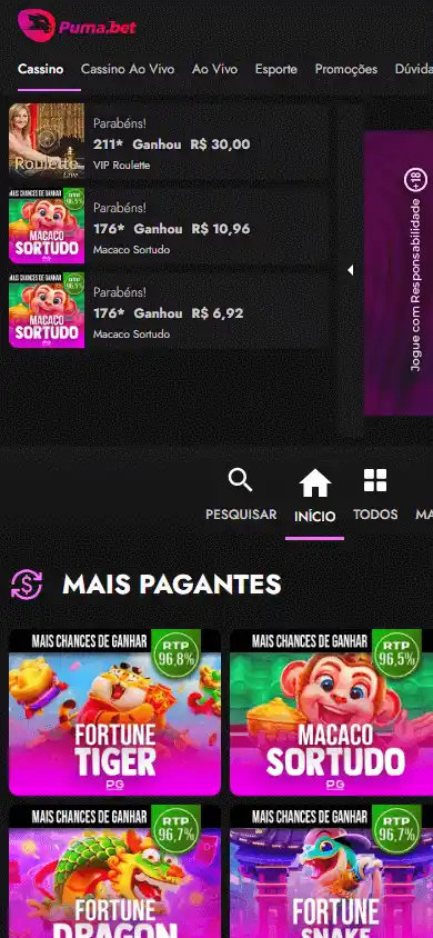 Puma.bet Casino screenshot 3