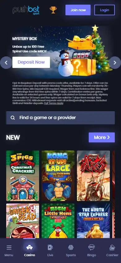 PushBet Casino screenshot 4